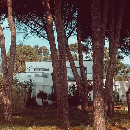 U Magazinu Taglio-Isolaccio