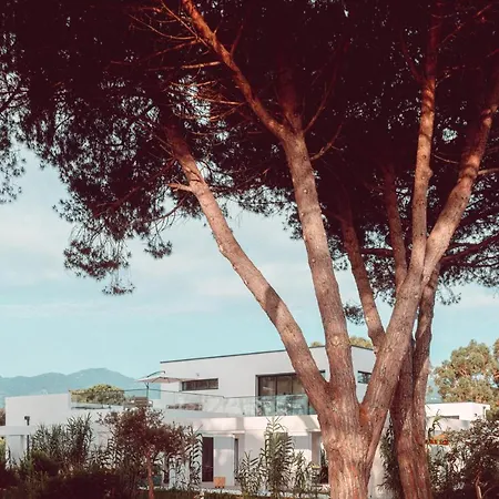U Magazinu فيلة Taglio-Isolaccio