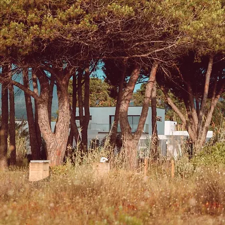 U Magazinu * Taglio-Isolaccio