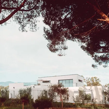 U Magazinu Taglio-Isolaccio